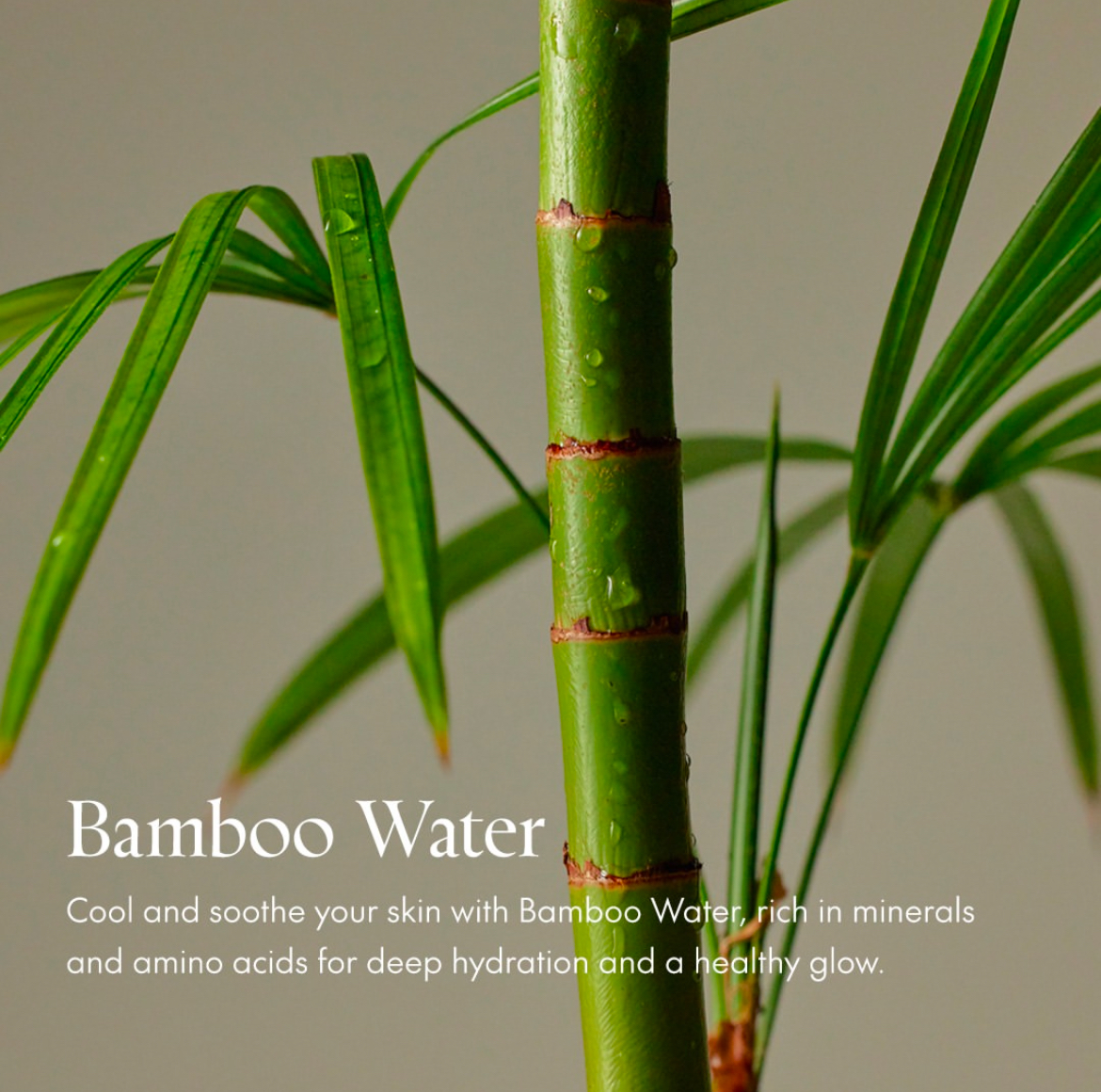 Purito Seoul Mighty Bamboo Panthenol Cream – Bild 6